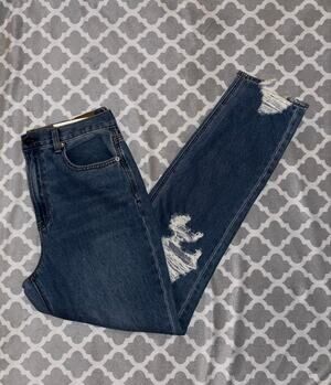 NEW American Eagle Mom jean